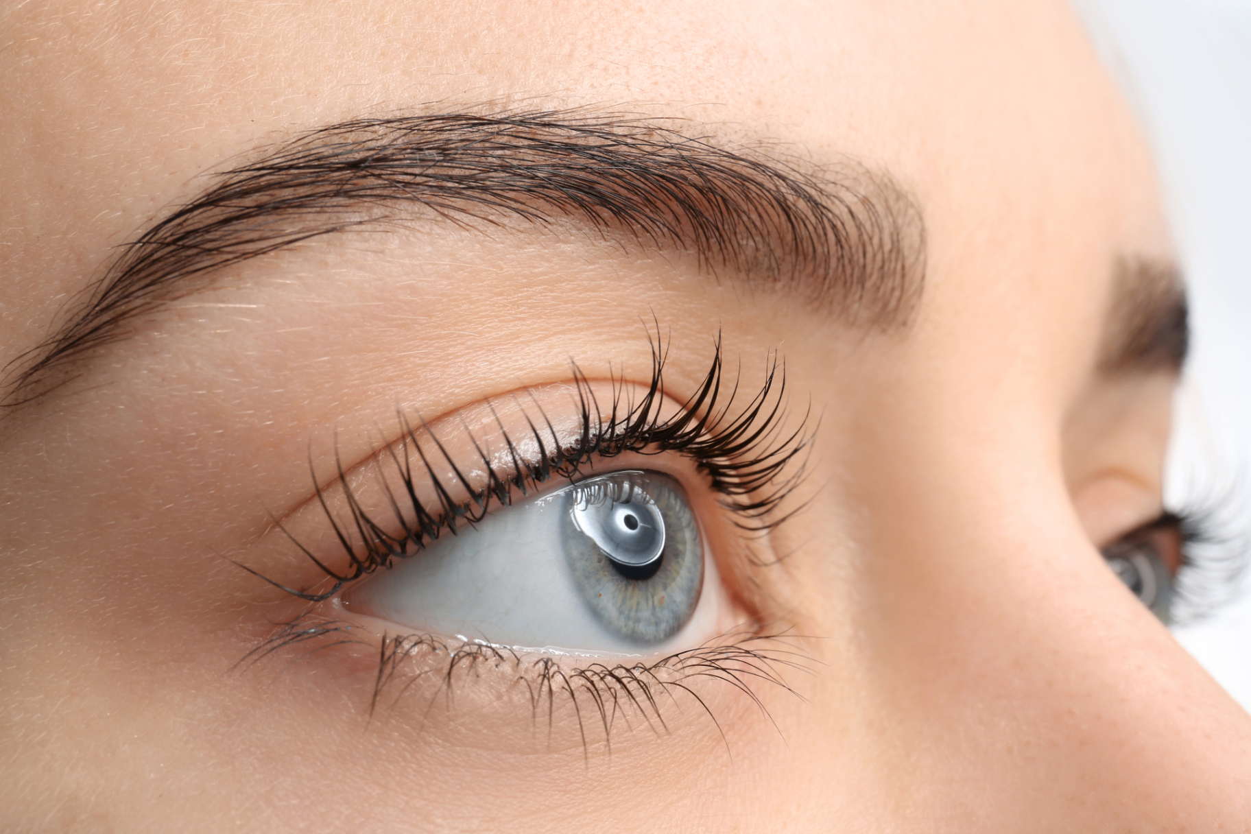 Natural lashes shown after a gentle refill or removal service.